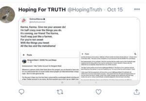 Yet another fake profile and unsubstantiated evidence by Margaret Meek